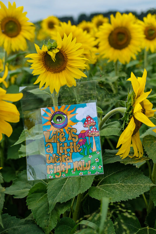 "Life is a Little Weird" 6x8 Print