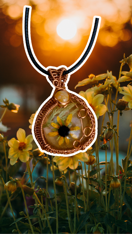 Suzie• Black Eyed Susan, Sunstone